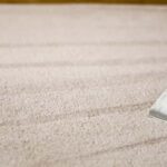 This is a photo of a carpet steam cleaner cleaning a cream carpet works carried out by Clapham Carpet Cleaning Solutions